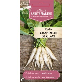 RADIS RAVE CHANDELLE DE GLACE BIO