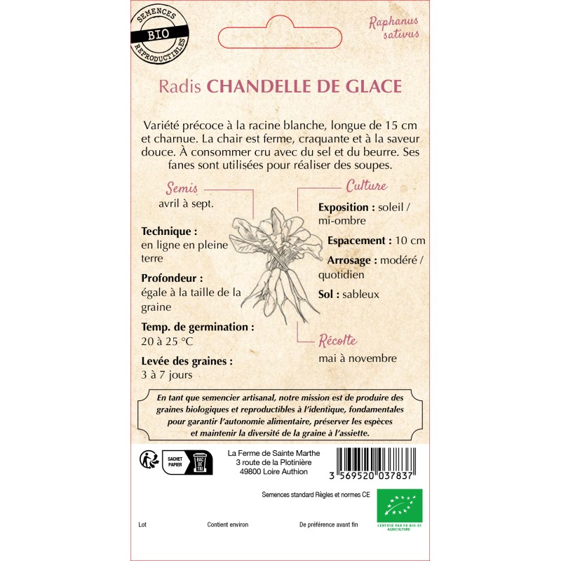 RADIS RAVE CHANDELLE DE GLACE BIO