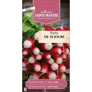 RADIS DE 18 JOURS BIO
