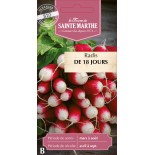 RADIS DE 18 JOURS BIO