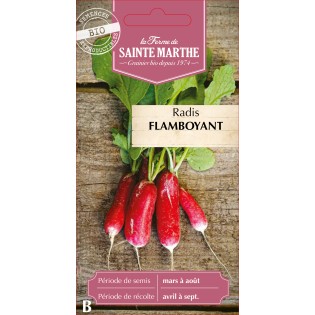 RADIS FLAMBOYANT RACE PATRICIA BIO