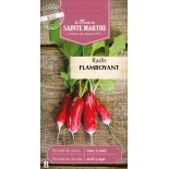 RADIS FLAMBOYANT RACE PATRICIA BIO