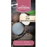 RADIS RAVE NOIR GROS RD D'HIVER BIO