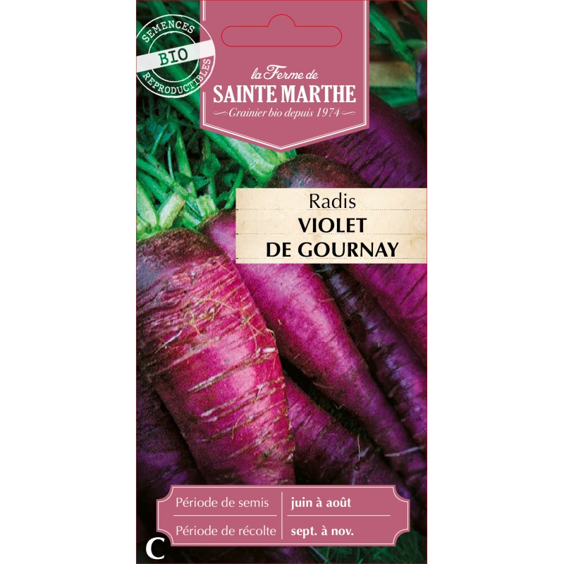 RADIS RAVE VIOLET DE GOURNAY BIO