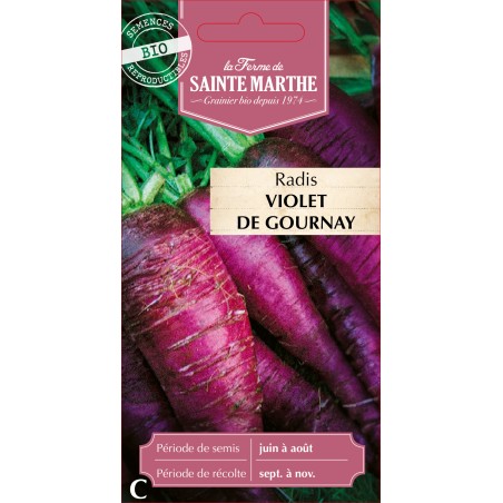 RADIS RAVE VIOLET DE GOURNAY BIO