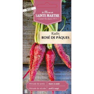 RADIS RAVE ROSE DE PAQUES 3 BIO