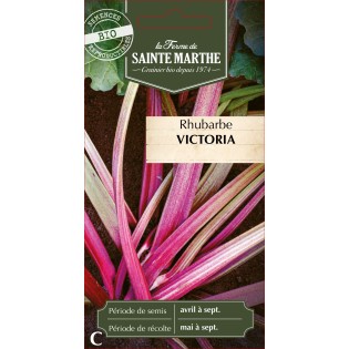 RHUBARBE GEANTE VICTORIA BIO