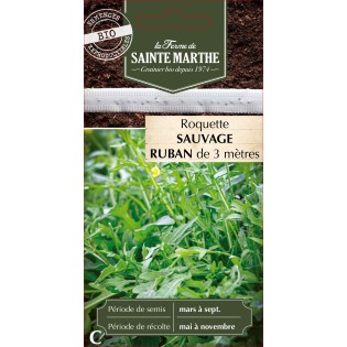 RUBAN ROQUETTE SAUVAGE BIO
