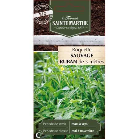 RUBAN ROQUETTE SAUVAGE BIO