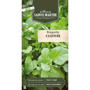 ROQUETTE CULTIVEE BIO