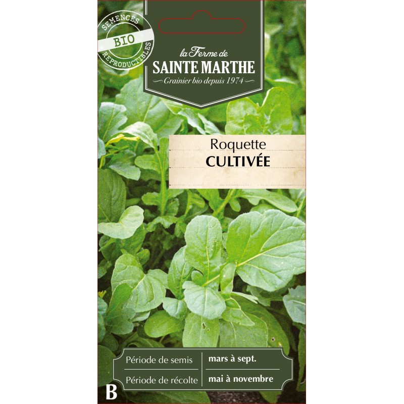 ROQUETTE CULTIVEE BIO