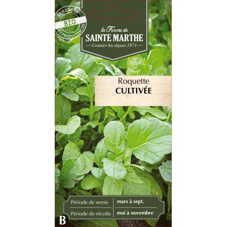 ROQUETTE CULTIVEE BIO
