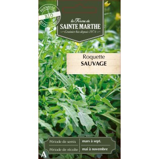 ROQUETTE SAUVAGE BIO