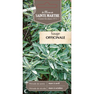 SAUGE OFFICINALE BIO