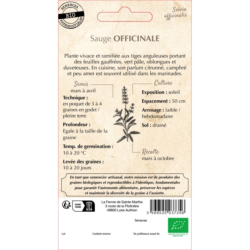 SAUGE OFFICINALE BIO