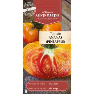 TOMATE PINEAPPLE (ANANAS) BIO