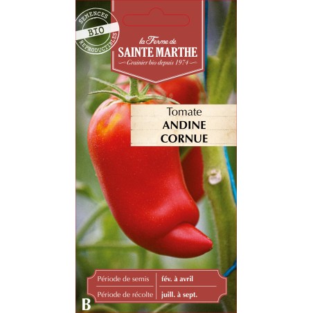 TOMATE ANDINE CORNUE DES ANDES BIO