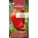 TOMATE ANDINE CORNUE DES ANDES BIO