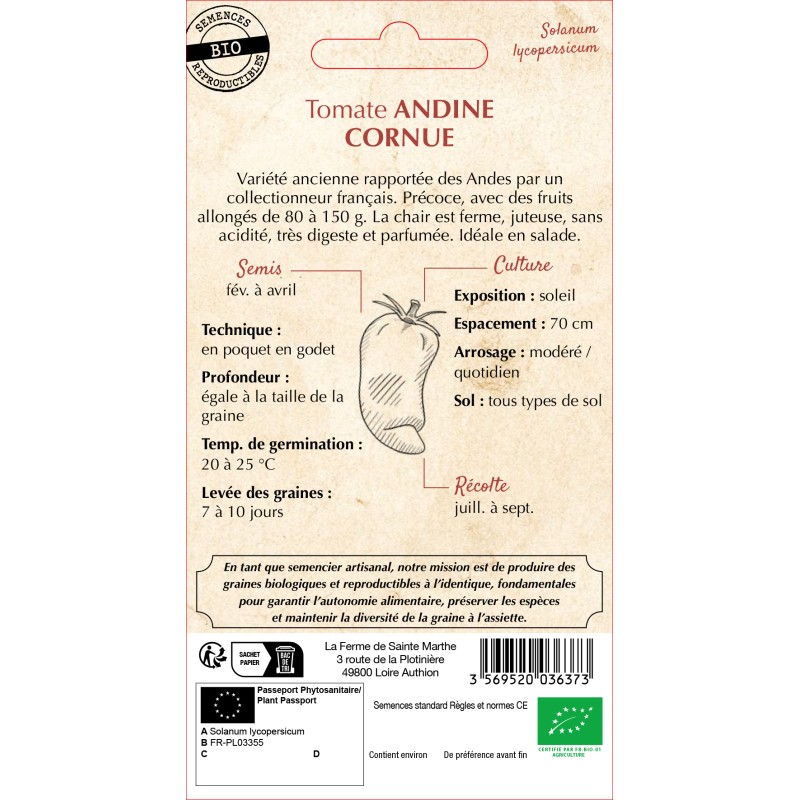 TOMATE ANDINE CORNUE DES ANDES BIO