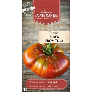 TOMATE BLACK FROM TULA BIO