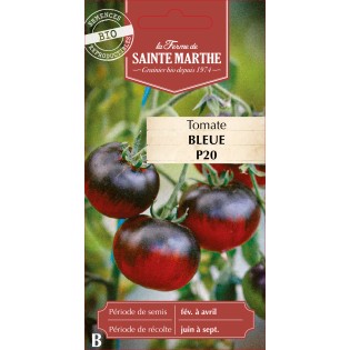 TOMATE BLEUE P20 BIO