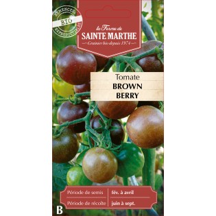 TOMATE BROWN BERRY BIO