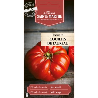 TOMATE COUILLE DE TAUREAU BIO