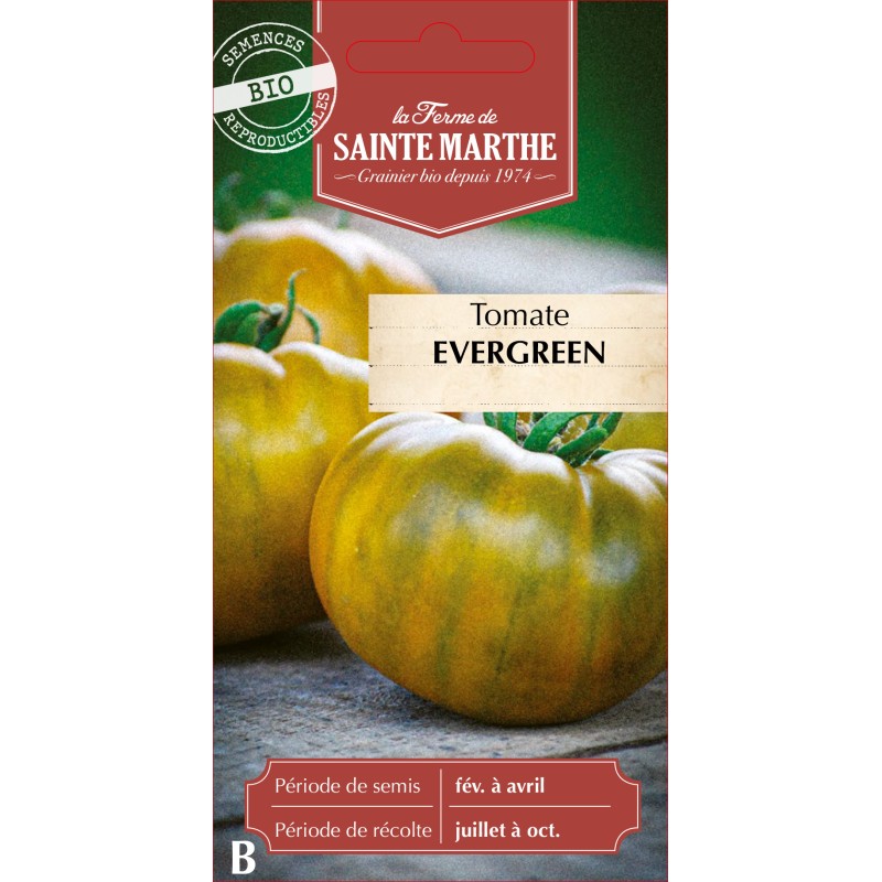 TOMATE EVERGREEN BIO