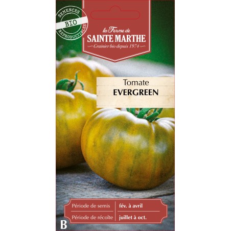 TOMATE EVERGREEN BIO