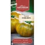 TOMATE EVERGREEN BIO