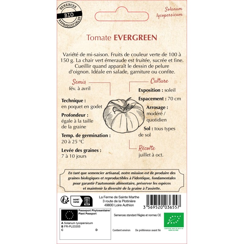 TOMATE EVERGREEN BIO