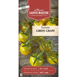 TOMATE GREEN GRAPE BIO