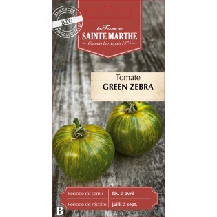 TOMATE GREEN ZEBRA BIO