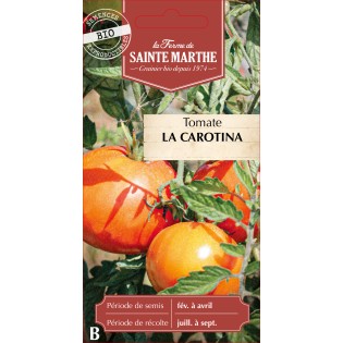 TOMATE LA CAROTINA BIO