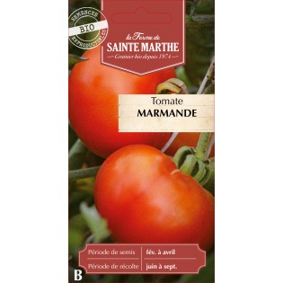 TOMATE MARMANDE BIO