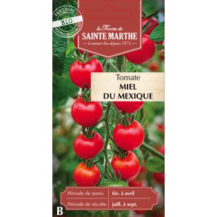 TOMATE MIEL DU MEXIQUE BIO