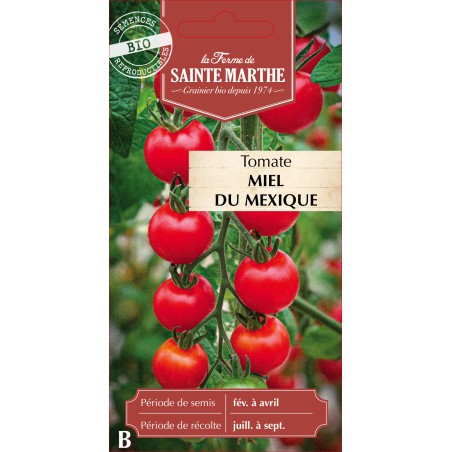 TOMATE MIEL DU MEXIQUE BIO