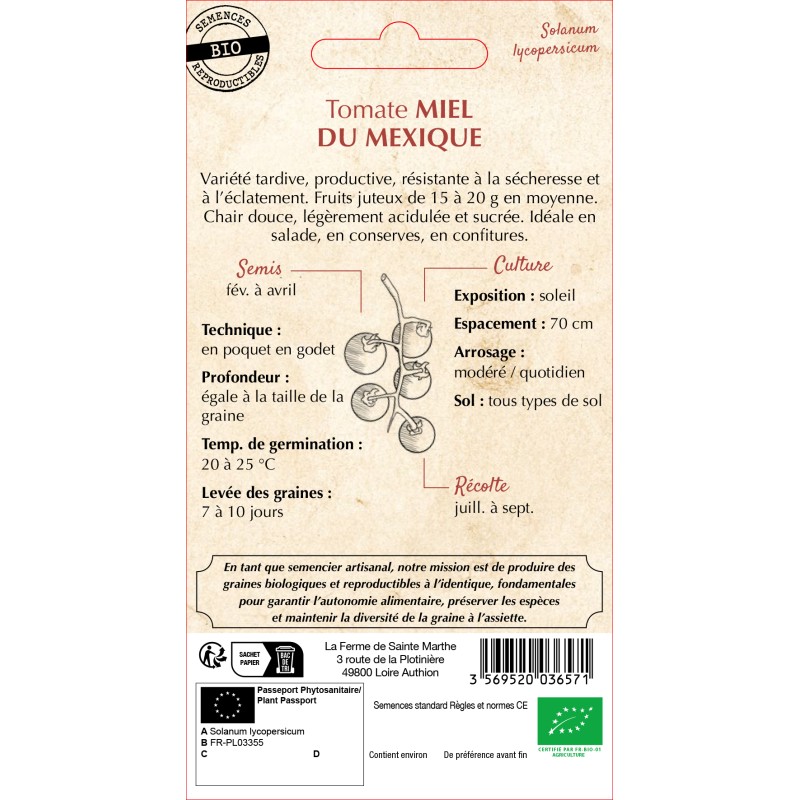 TOMATE MIEL DU MEXIQUE BIO
