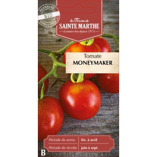 TOMATE MONEYMAKER BIO