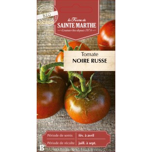 TOMATE NOIRE RUSSE BIO