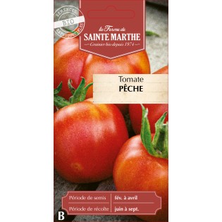 TOMATE PECHE (ROUGE) BIO