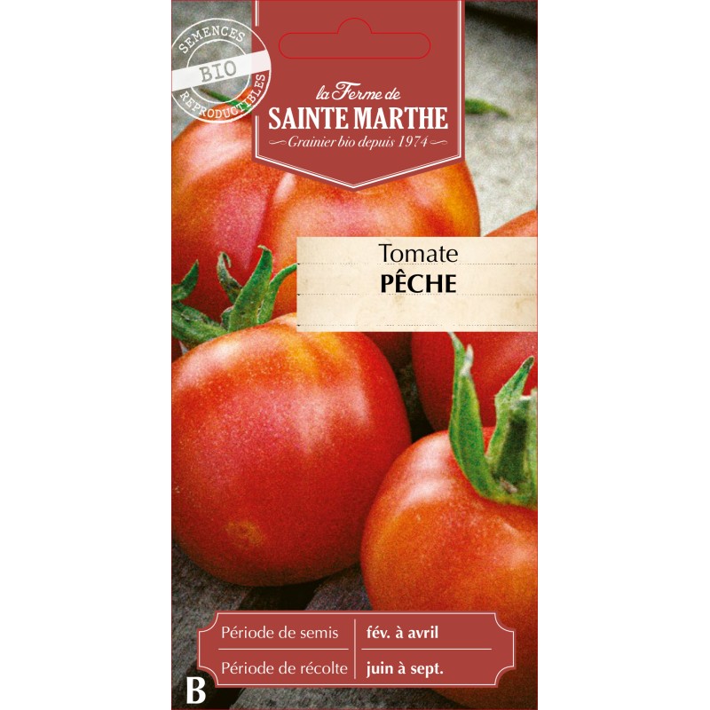 TOMATE PECHE (ROUGE) BIO