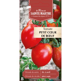 TOMATE PETIT COEUR DE BOEUF BIO