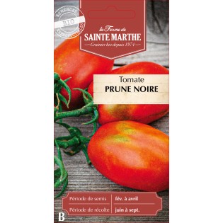 TOMATE PRUNE NOIRE BIO