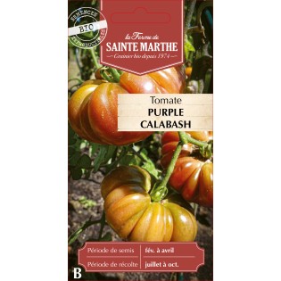 TOMATE PURPLE CALABASH BIO