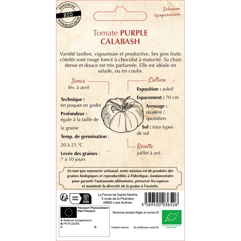 TOMATE PURPLE CALABASH BIO