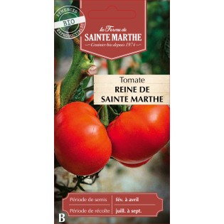 TOMATE REINE DE SAINTE MARTHE BIO