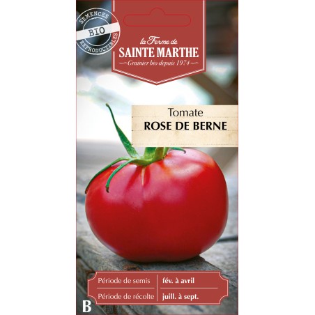 TOMATE ROSE DE BERNE BIO