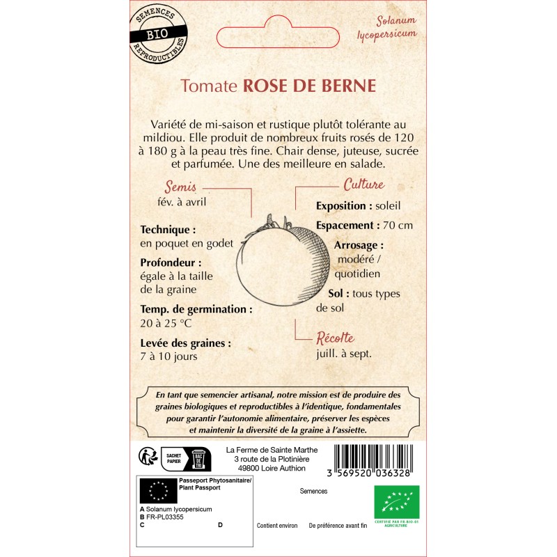 TOMATE ROSE DE BERNE BIO