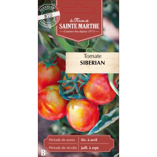 TOMATE SIBERIAN BIO